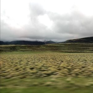 Meet your Posher, Carolyn